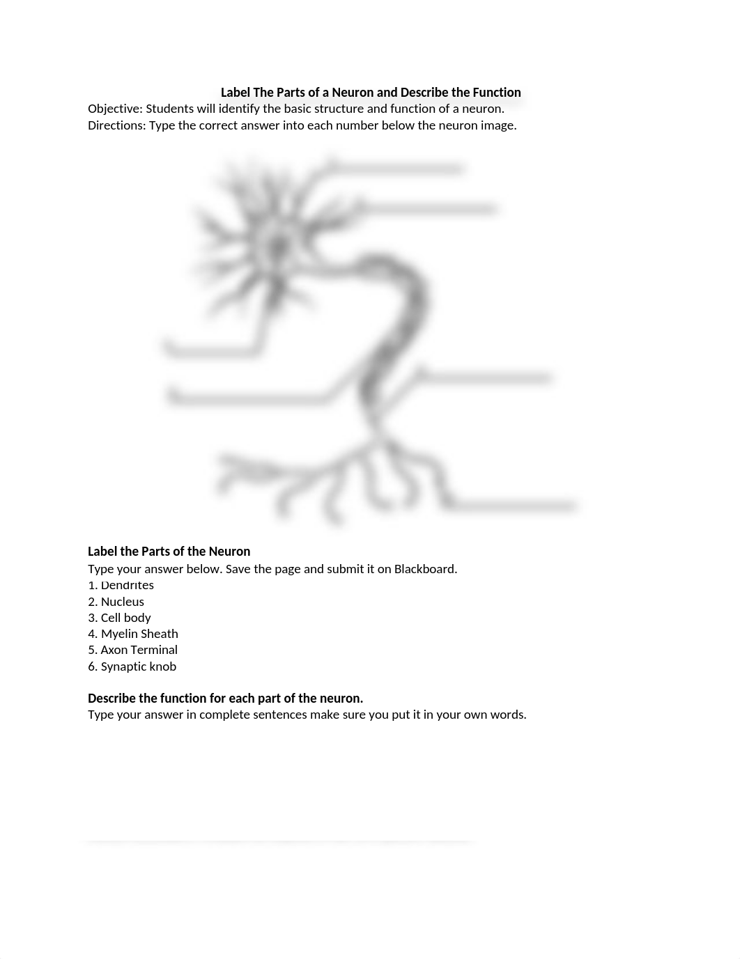 Label The Parts of a Neuron and Describe the Function.docx_dp2bhlhb60o_page1