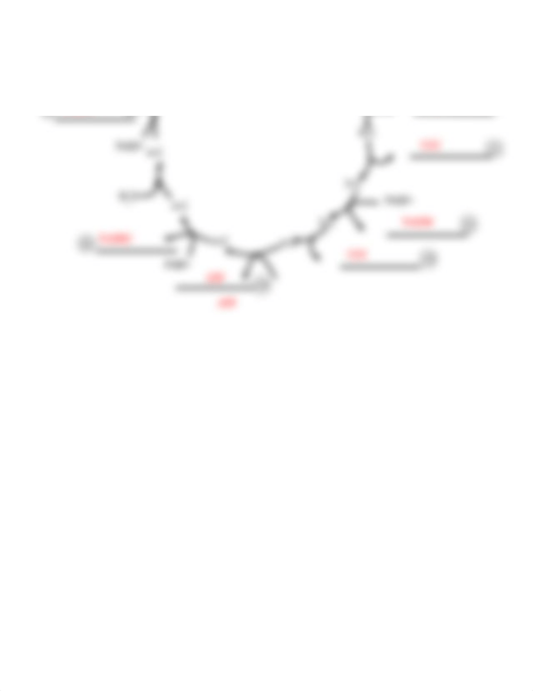 Review Questions Key_Lecture 16_Glycolysis and Kreb Cycle(1).doc_dp2kxz4exrn_page1