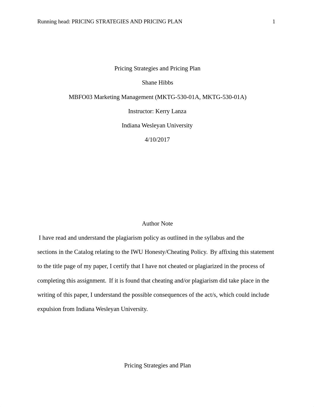 Pricing Strategies and Pricing Plan_dp2l91lkq7o_page1