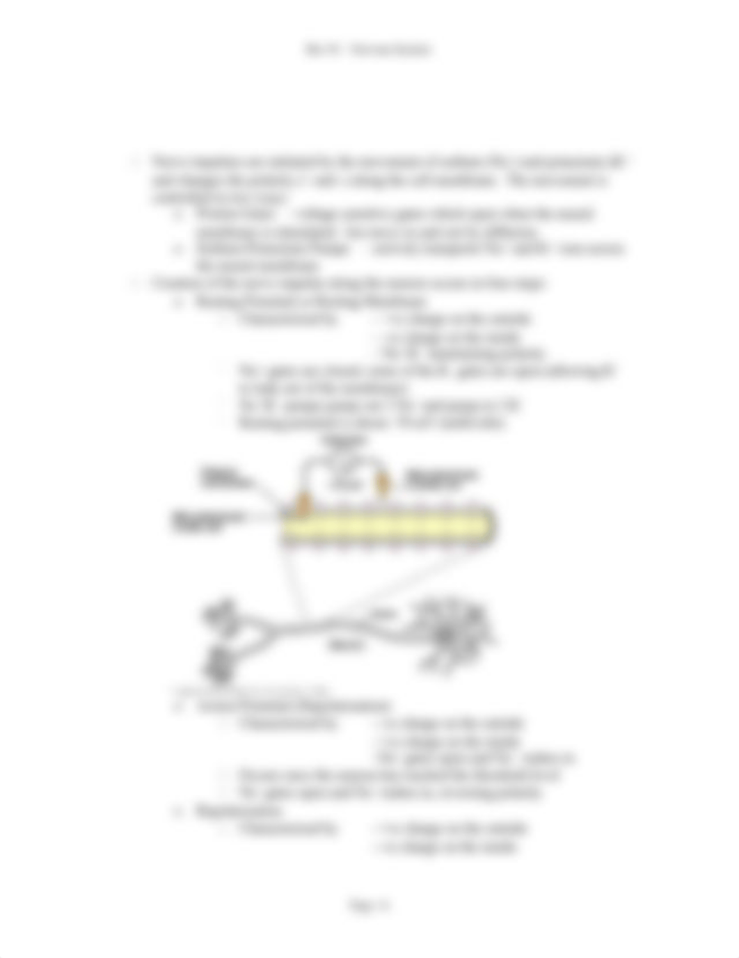 Bio 30 -Nervous System.doc_dp2sei2ebdz_page4