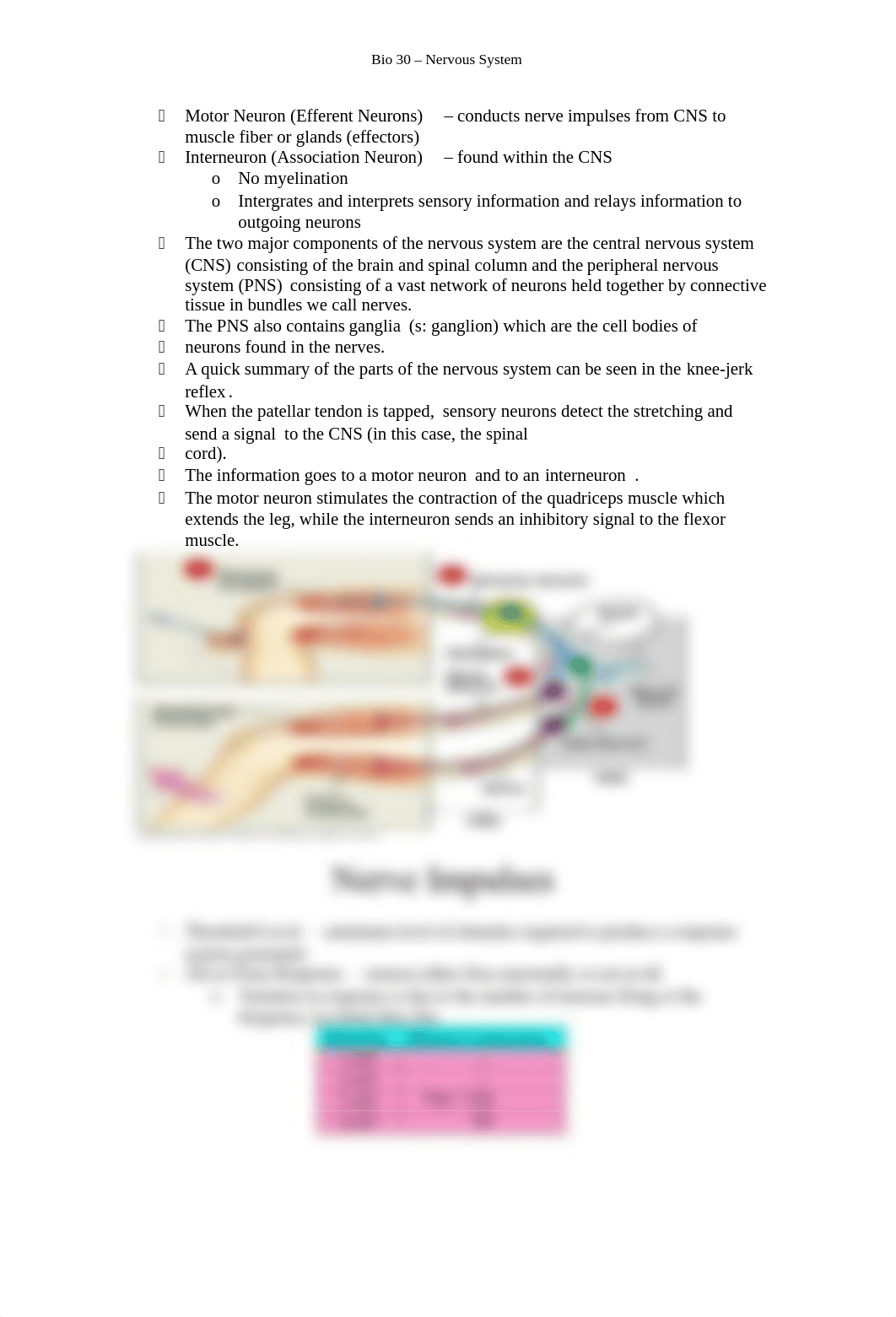 Bio 30 -Nervous System.doc_dp2sei2ebdz_page3