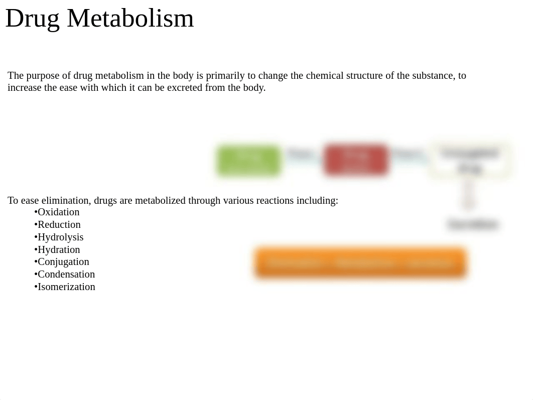 Lecture 7. Pharmacogenomics and Cytochrome P450s.ppt_dp2ve7ivges_page4