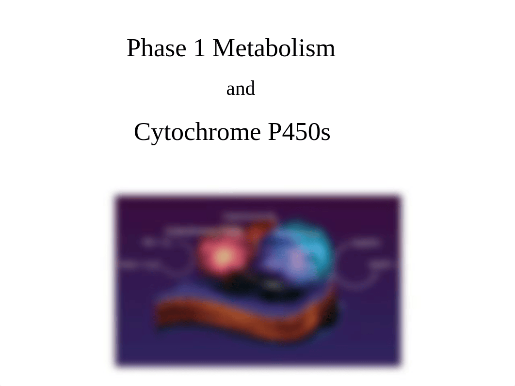 Lecture 7. Pharmacogenomics and Cytochrome P450s.ppt_dp2ve7ivges_page1