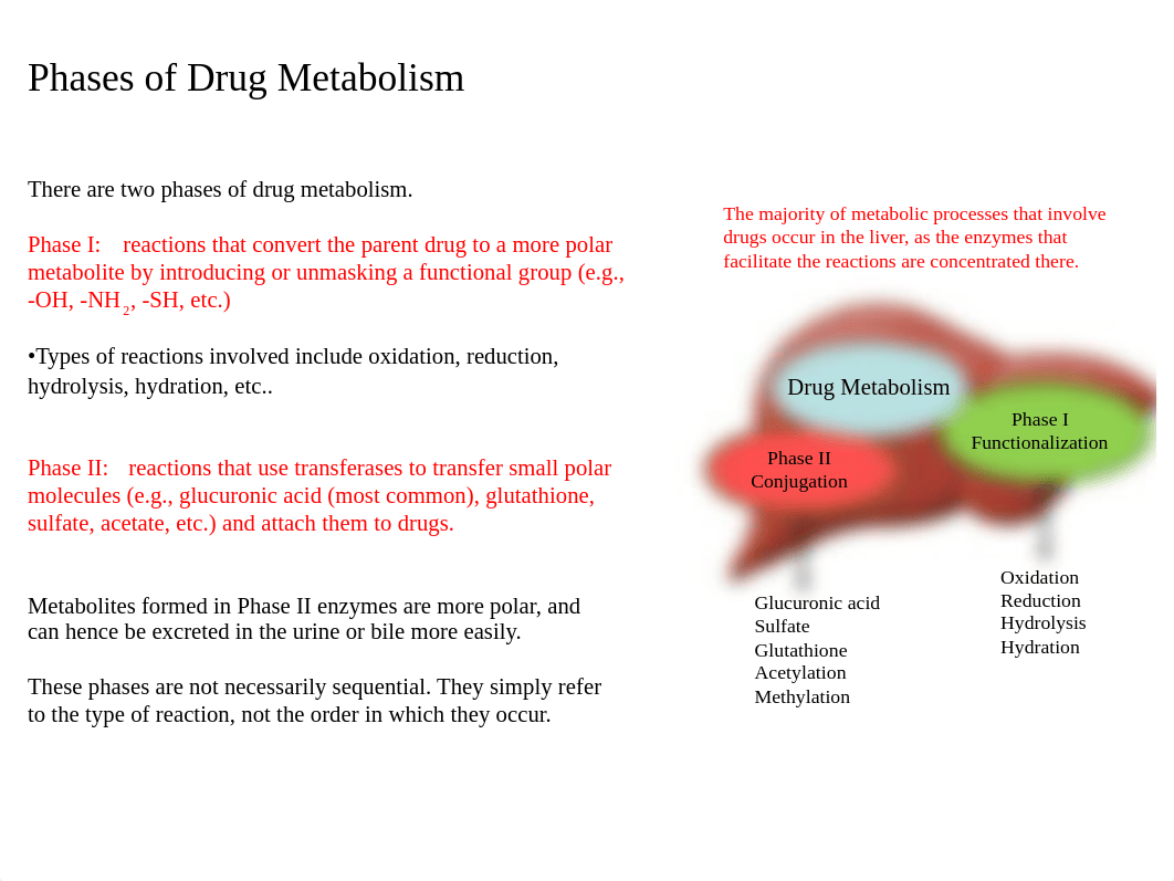 Lecture 7. Pharmacogenomics and Cytochrome P450s.ppt_dp2ve7ivges_page5