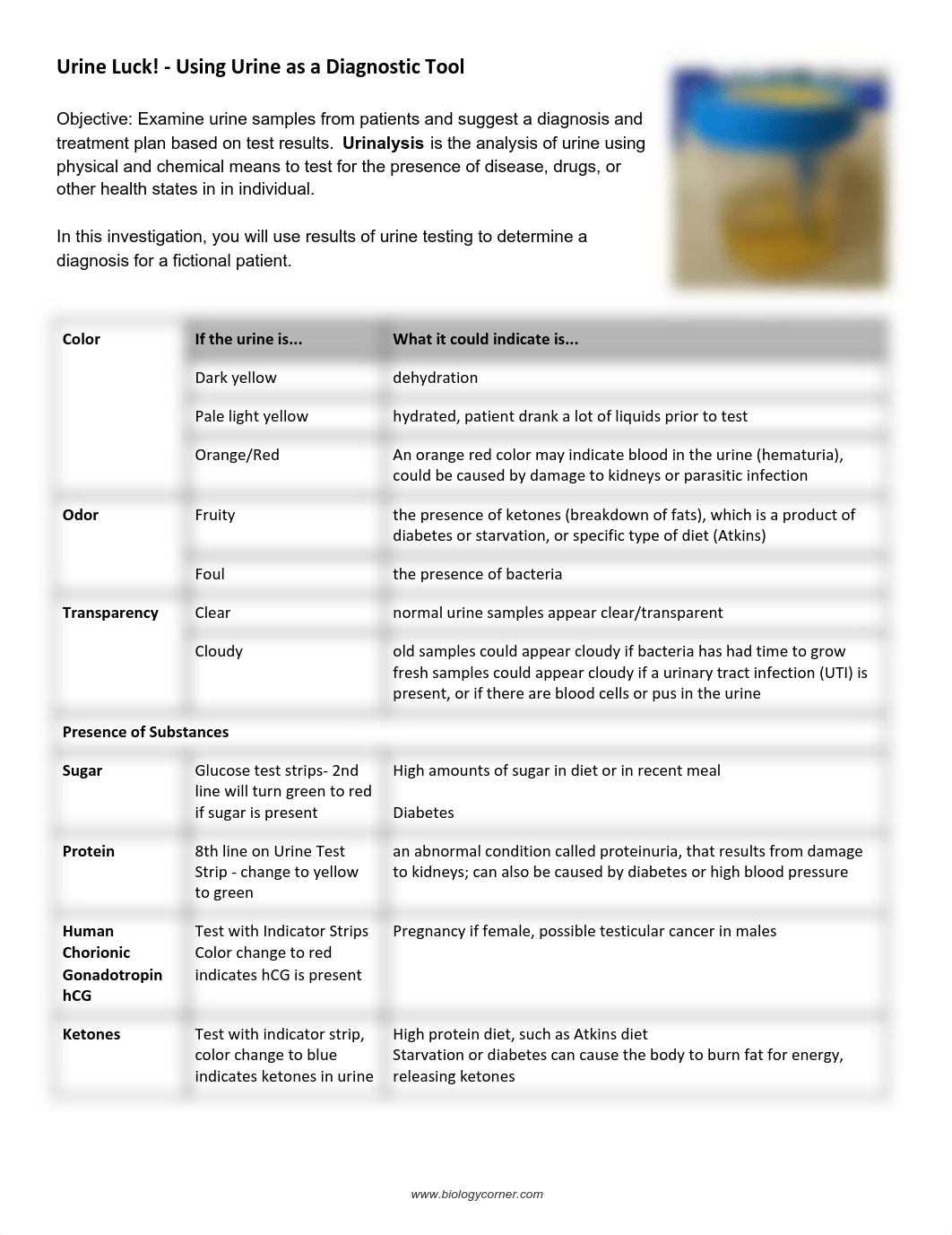 Copy of  Urine Luck - Using Urine as a Diagnostic Tool - student version.pdf_dp2vxtmfggn_page1