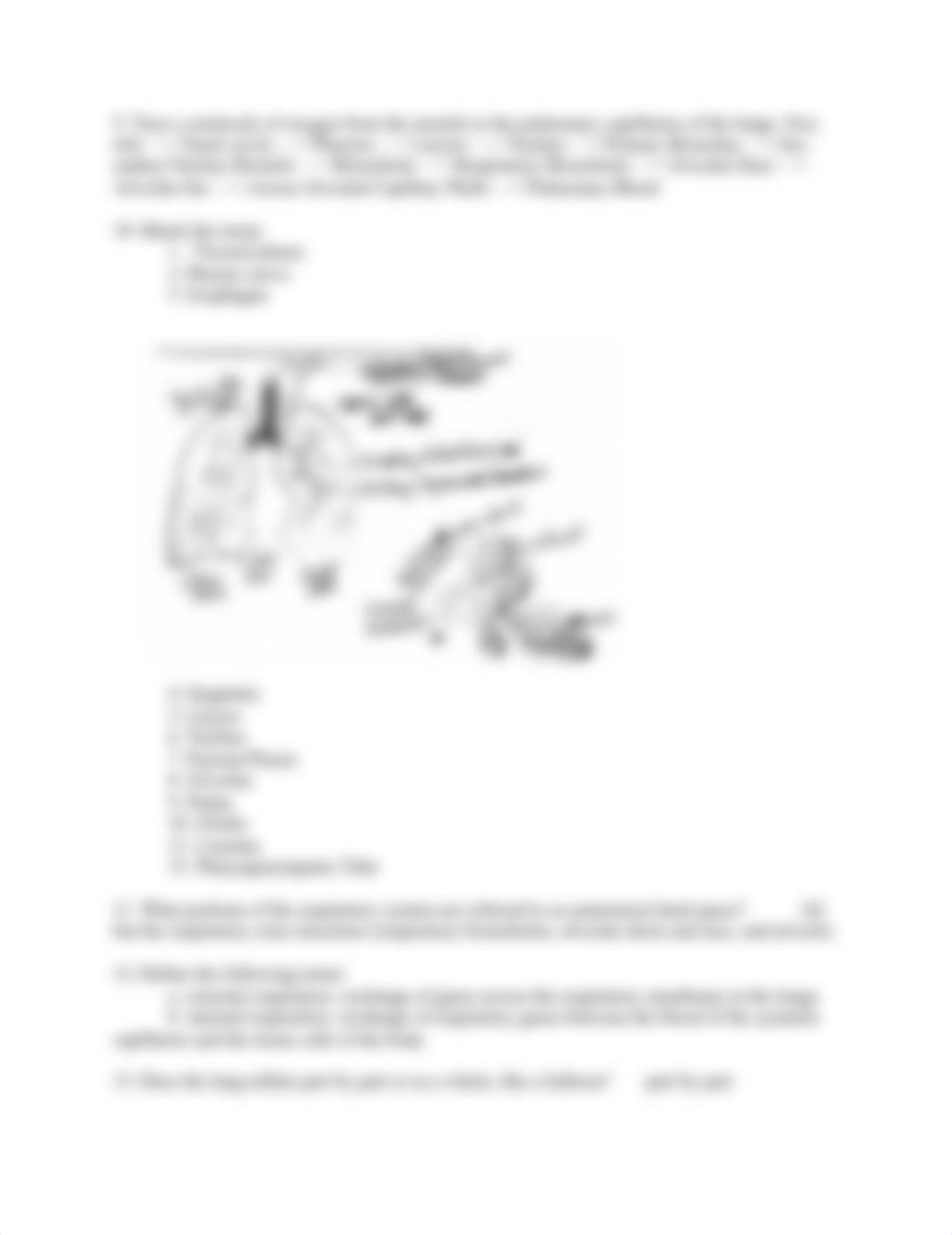 Respiratory System.docx_dp317m8tsuk_page2