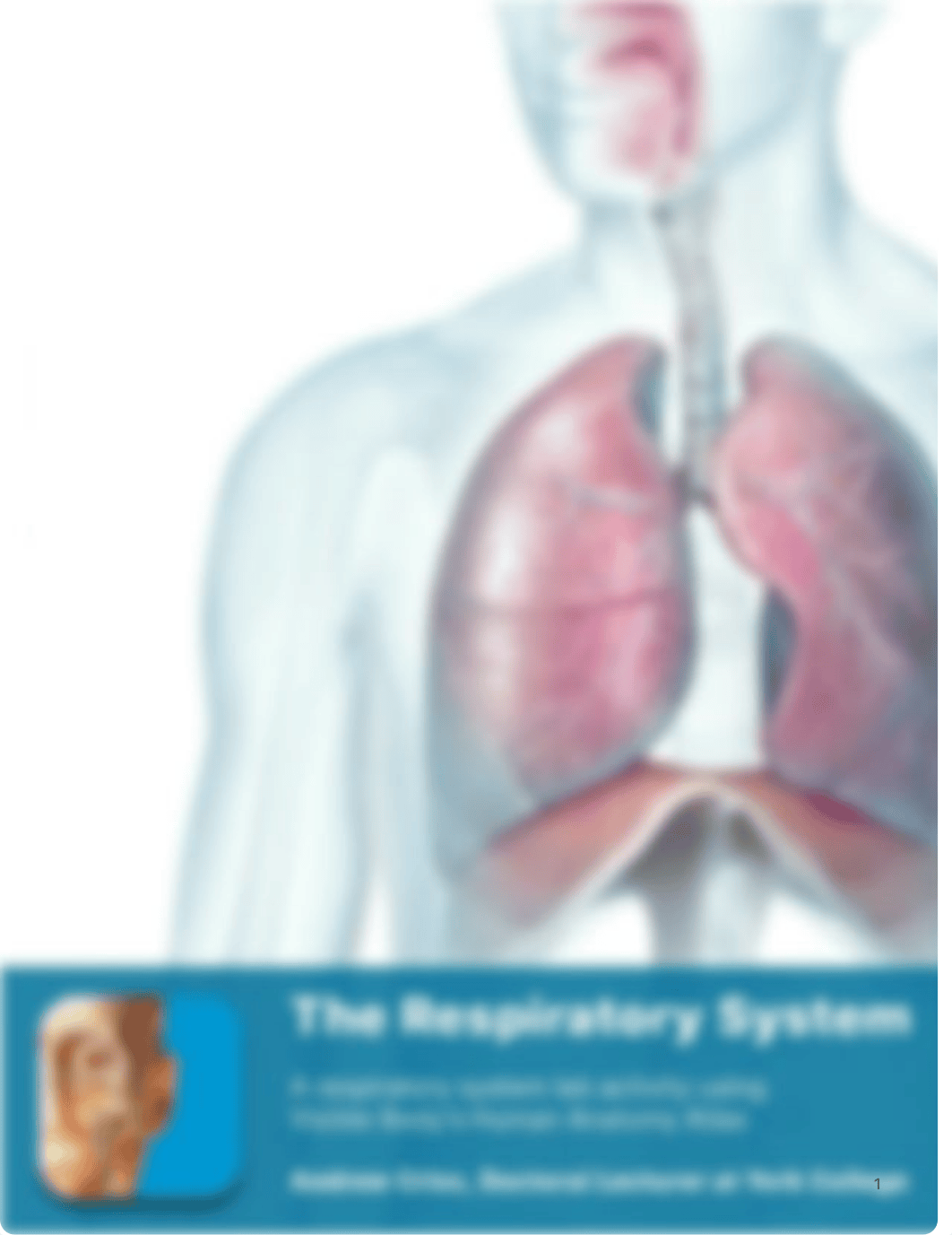 lab_manual_respiratory_atlas.pdf_dp32czy4tl7_page1