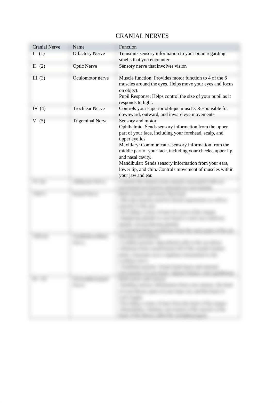 Cranial Nerves Worksheet.docx_dp37cuuk5bk_page1