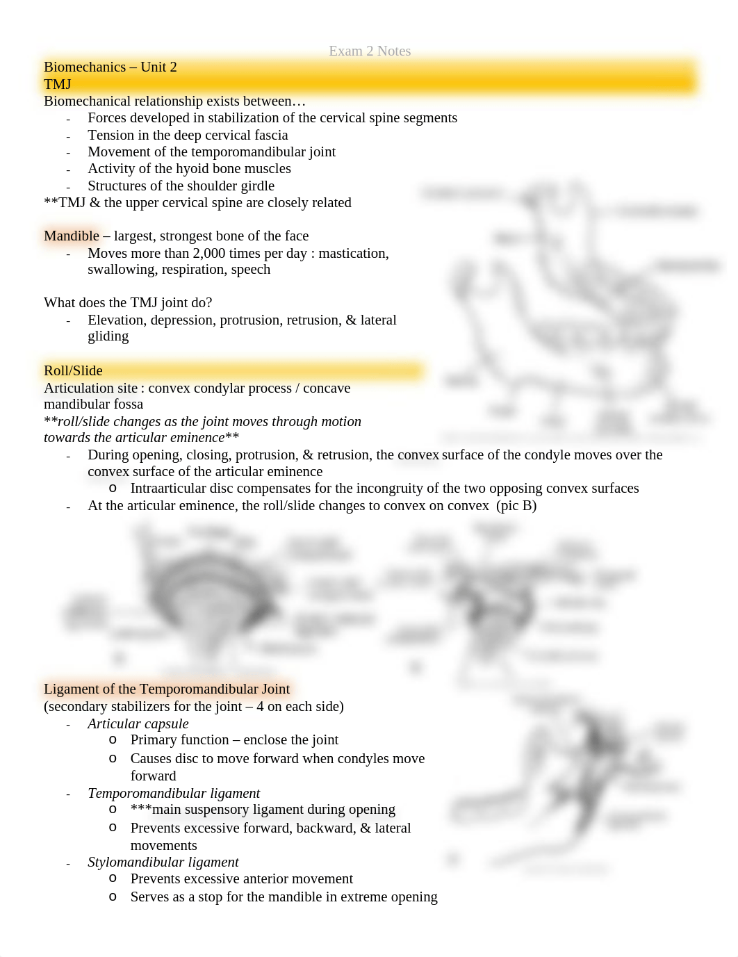 Exam 2 notes.docx_dp3hlwynio7_page1