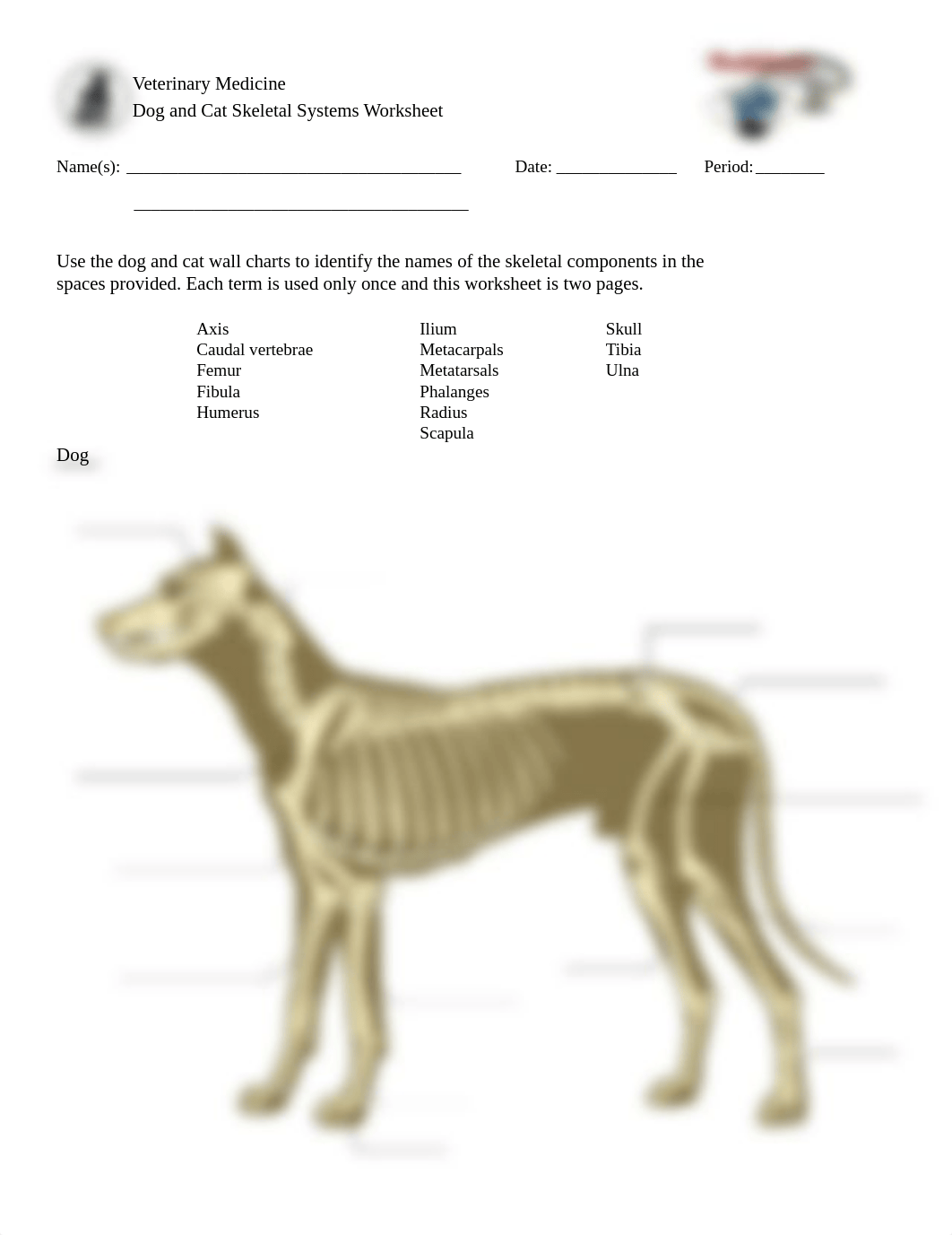 Vet Med Worksheet_Activity 4 V2.pdf_dp3ij3b6ekh_page1