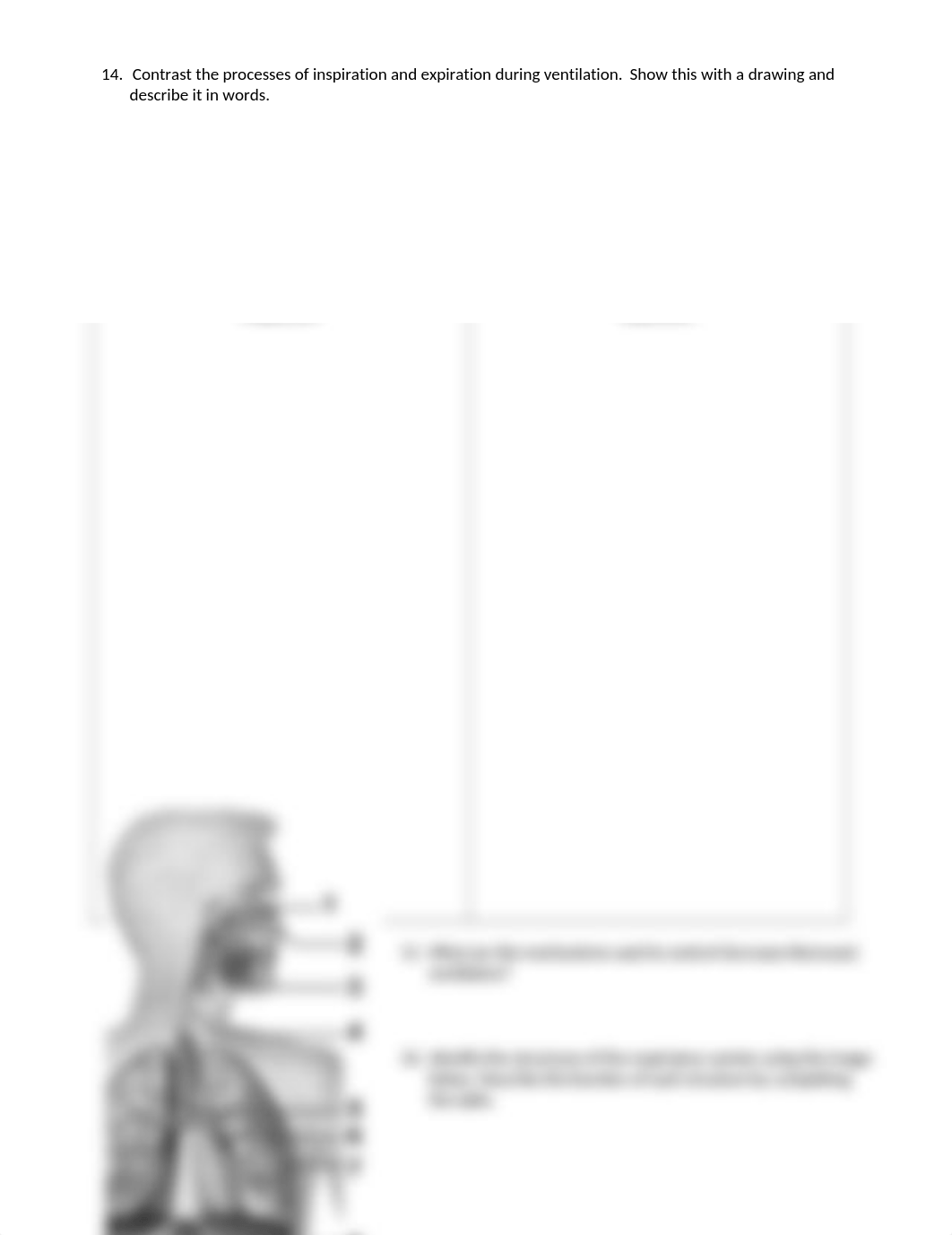 Week 9 Blood and Respiratory System Concept Check(1).docx_dp3nu8fmece_page3