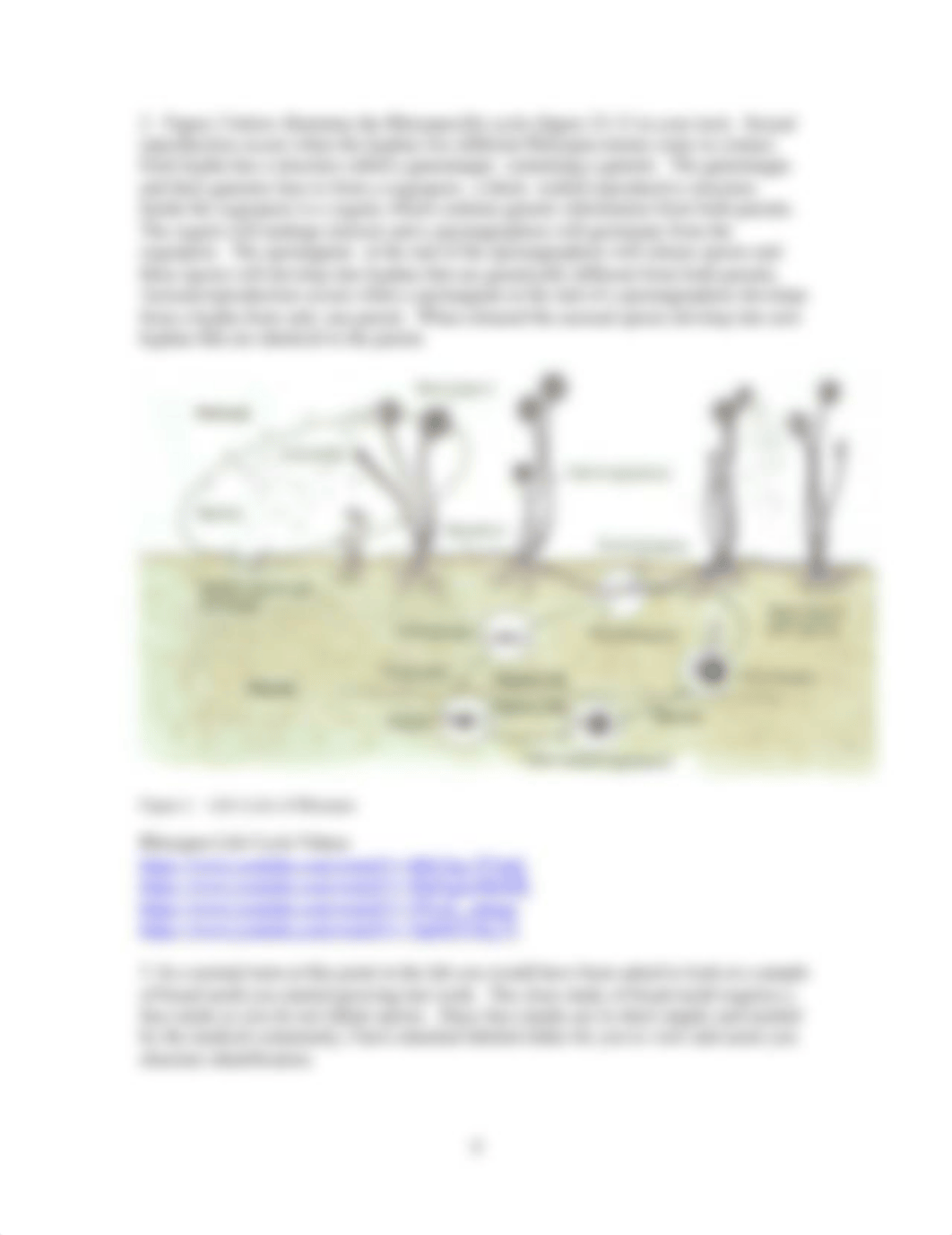 Our Friends the Fungi on-line SP 2020 (1).docx_dp3rfhe5ya0_page4