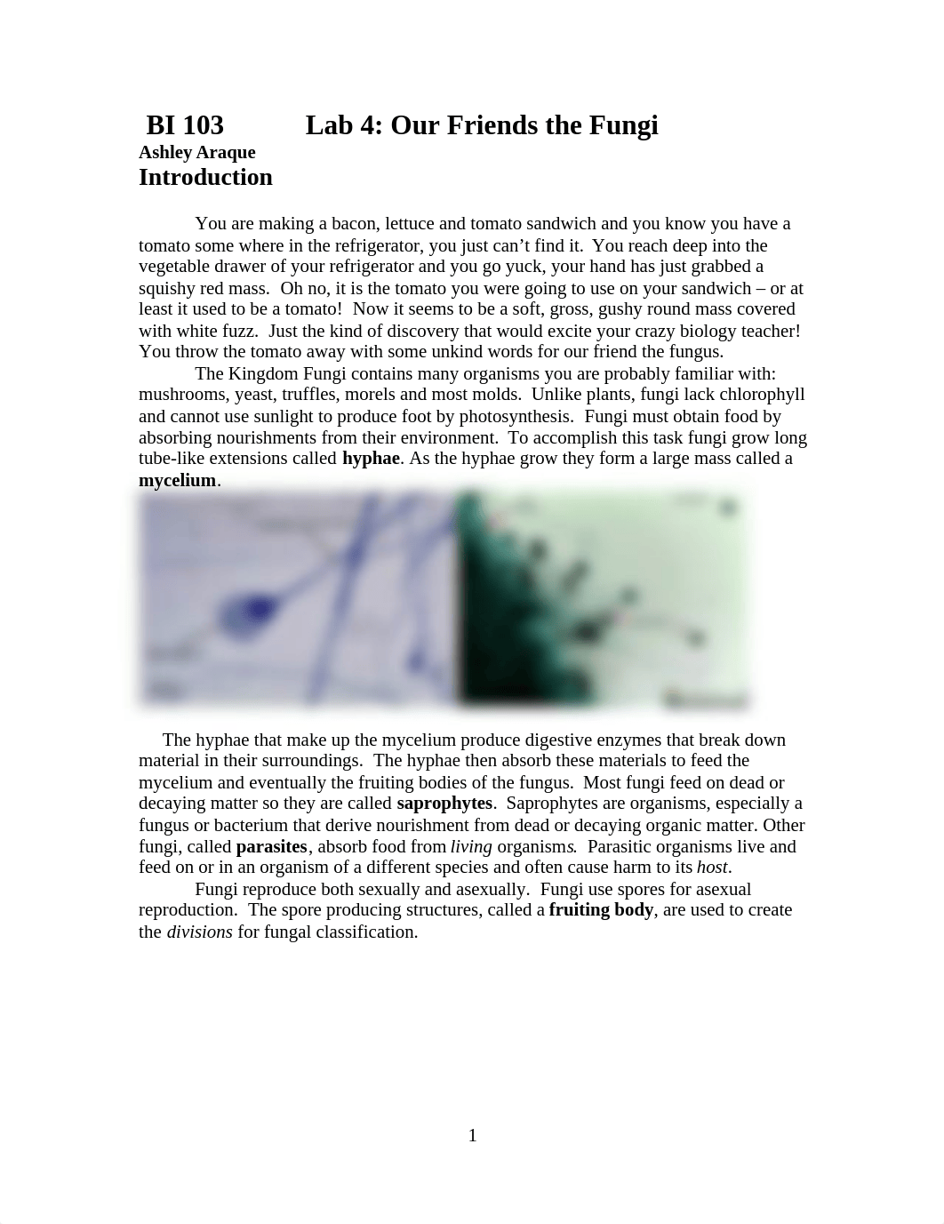 Our Friends the Fungi on-line SP 2020 (1).docx_dp3rfhe5ya0_page1