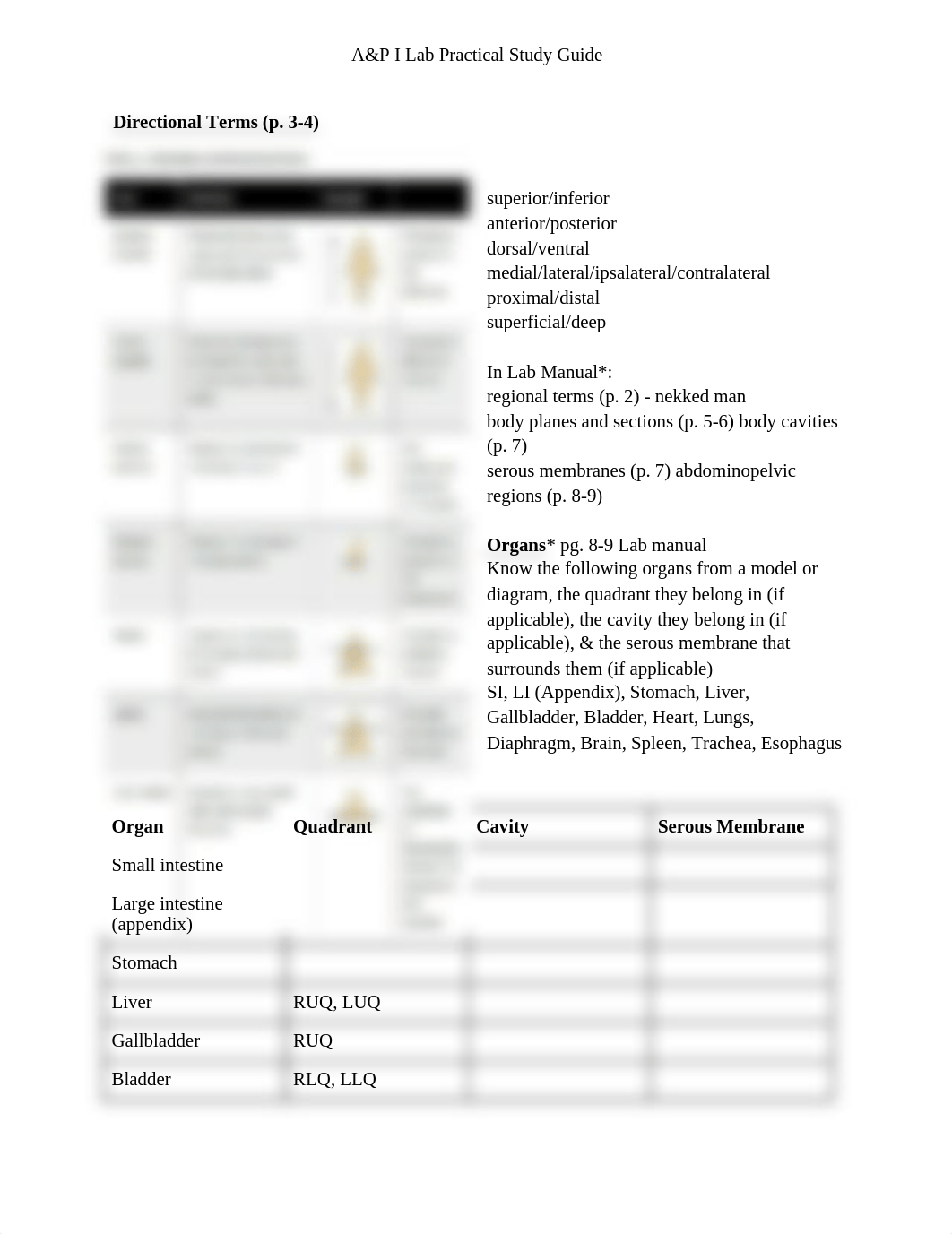 A&P I Lab Practical #1 Study Guide.docx_dp3vwhzspix_page1