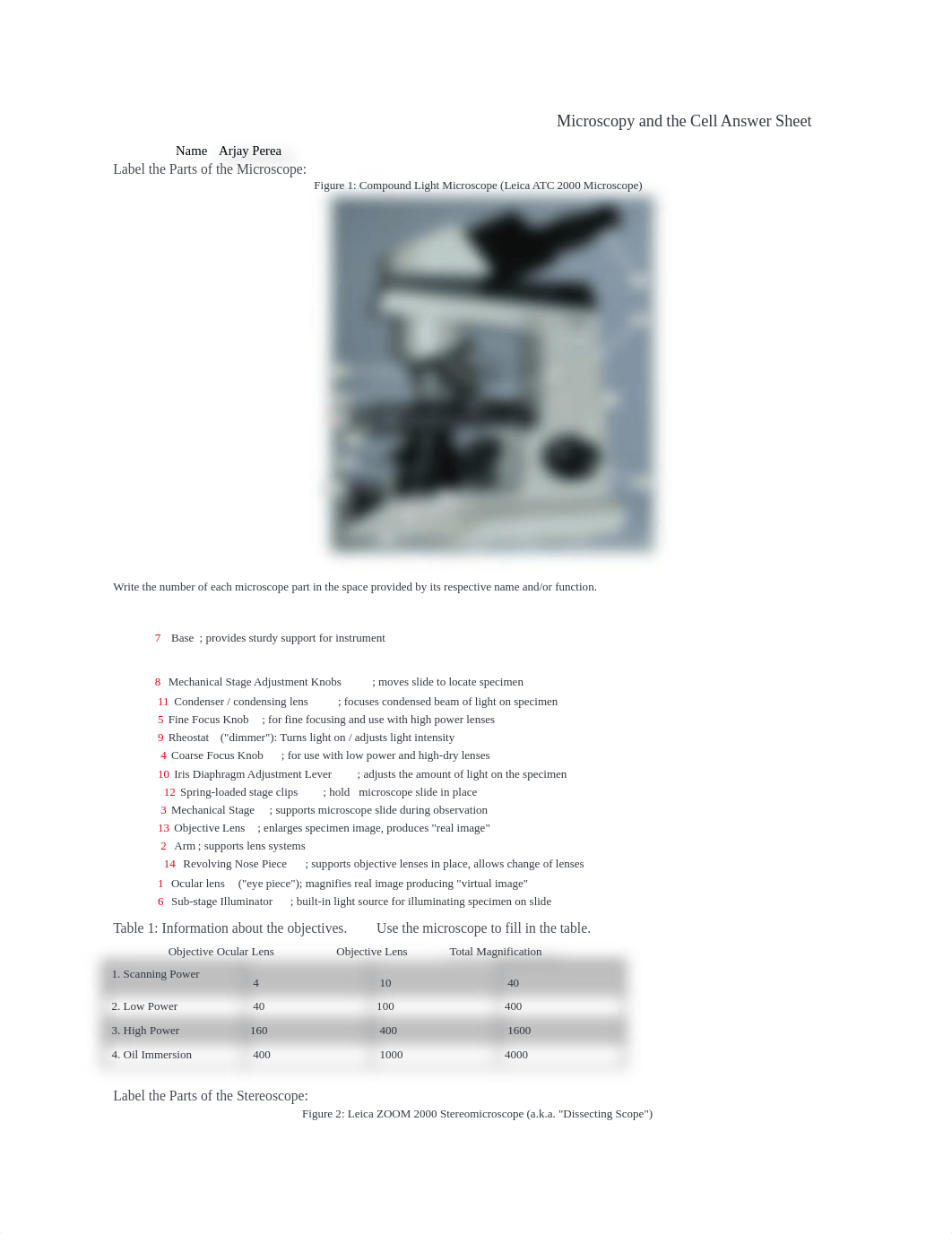 Microscopy and the Cell Answer Sheet.docx_dp48qo1b17m_page1