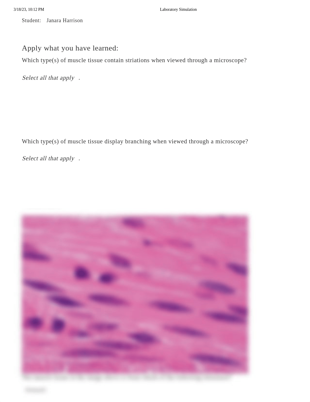 Microscopy - Muscle Tissue Histology.pdf_dp49z2dmzcj_page1