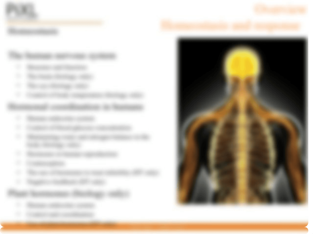 Homeostasis PPT.pptx_dp4ffj76bk4_page2