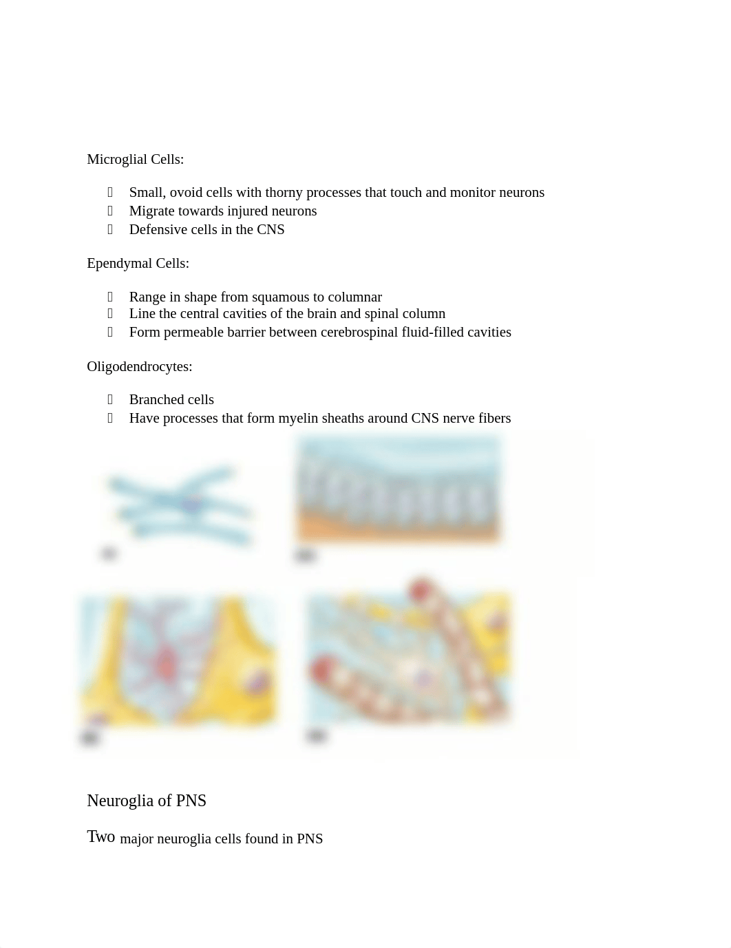 Anatomy and Physiology FINAL REVIEW[1]_dp4fu5qhl2w_page3