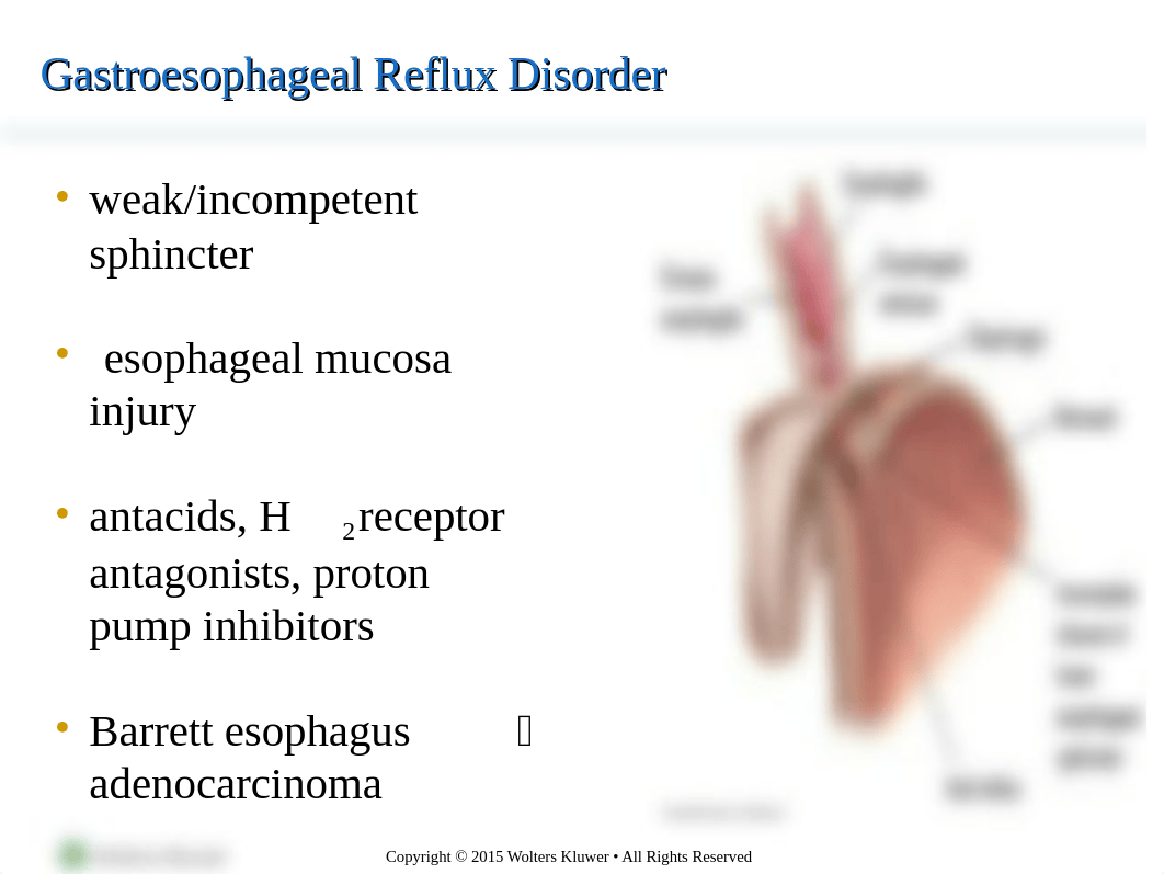 Chapter 37 - Disorders of Gastrointestinal Function.ppt_dp4hh5xpgdr_page3