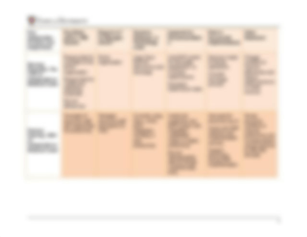 MHA-FPX5016_Kirsten Furness_Assessment 3-1 (Stakeholder Matrix).docx_dp4j7sqdhjw_page2