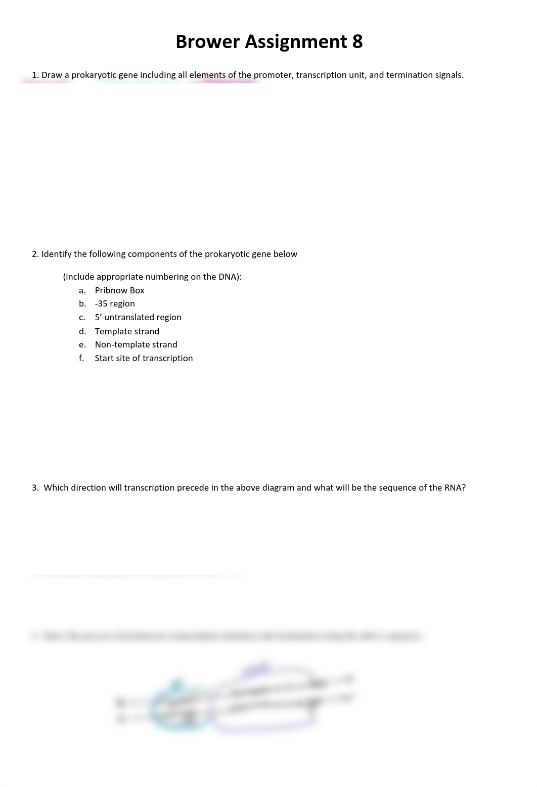 Assignment +8 moLe cell.pdf_dp4ny4f5tm6_page1