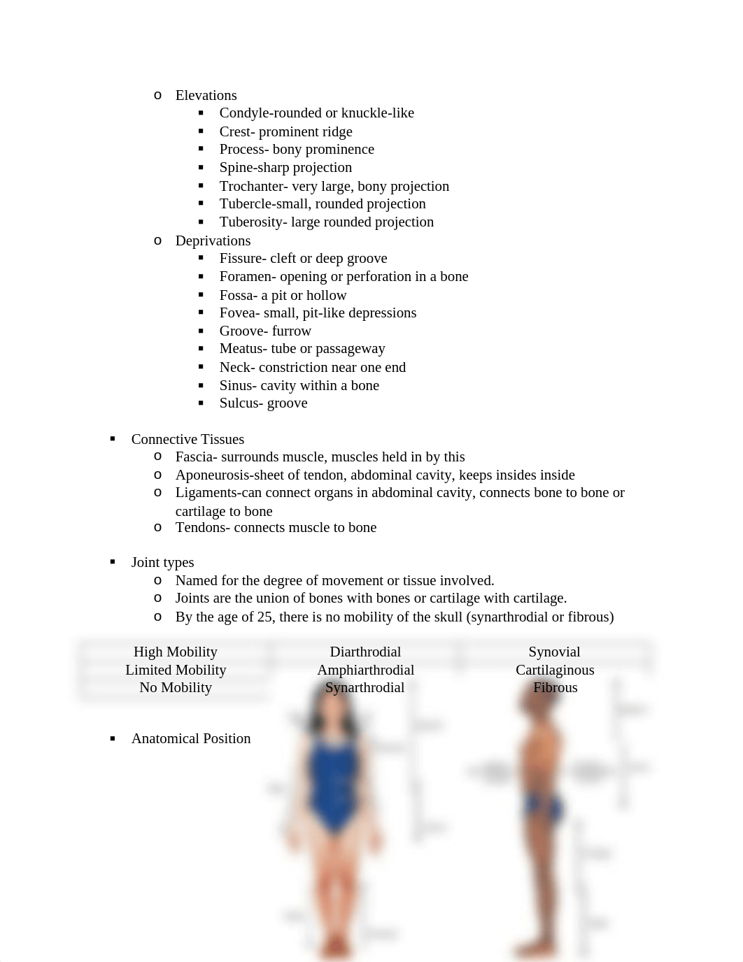 Anatomy- Exam 1 SG.docx_dp4r03o4ygm_page2