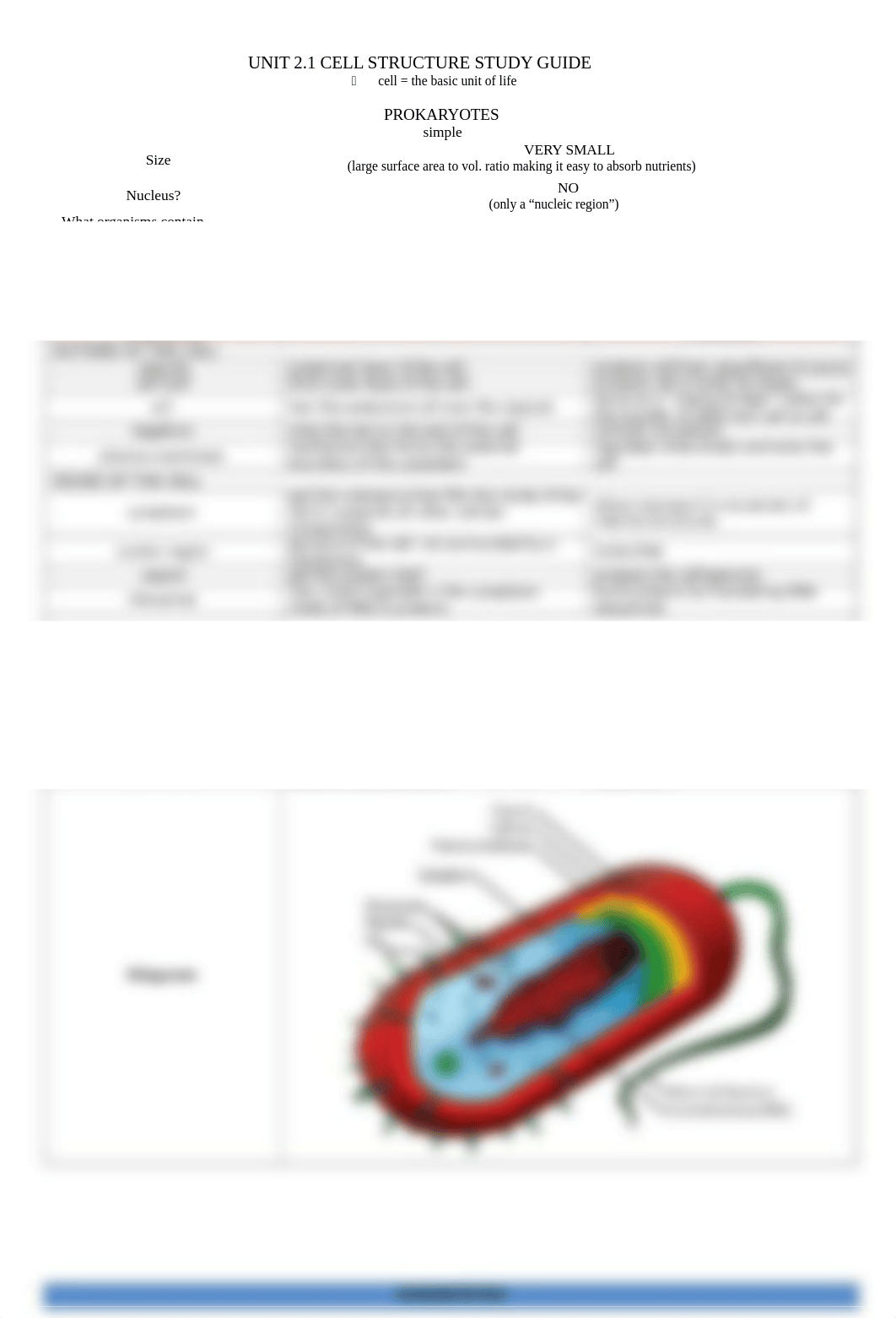 Unit 2.1 Cell Structure Study Guide_dp4wwe5nxjj_page1