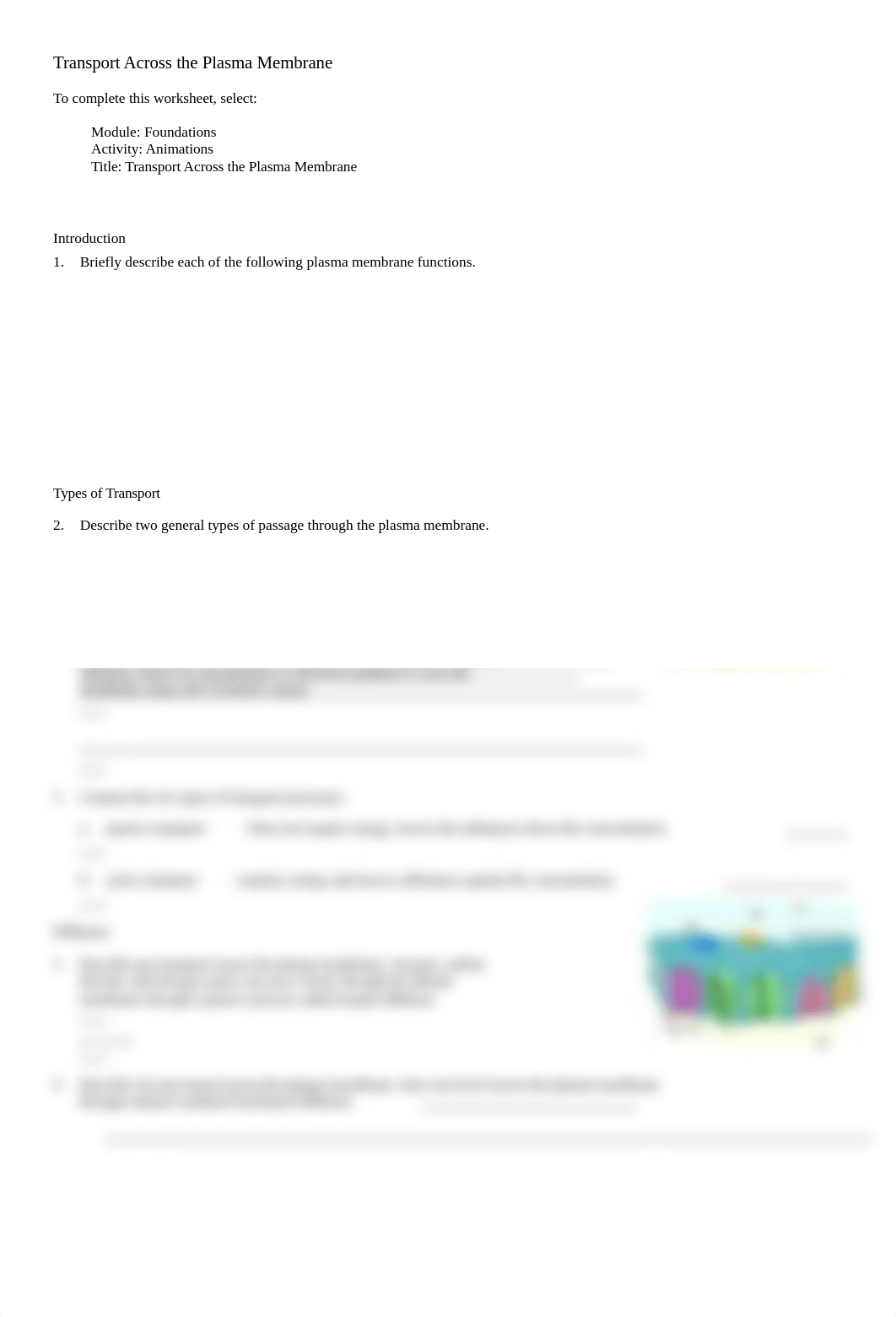 Transport across the plasma membrane.doc_dp55b3660fv_page1