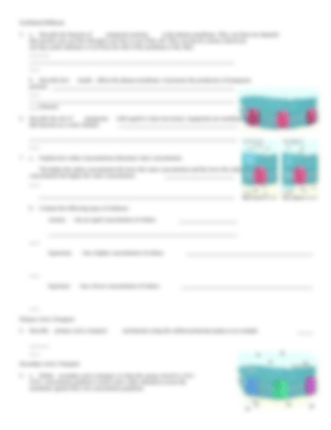 Transport across the plasma membrane.doc_dp55b3660fv_page2