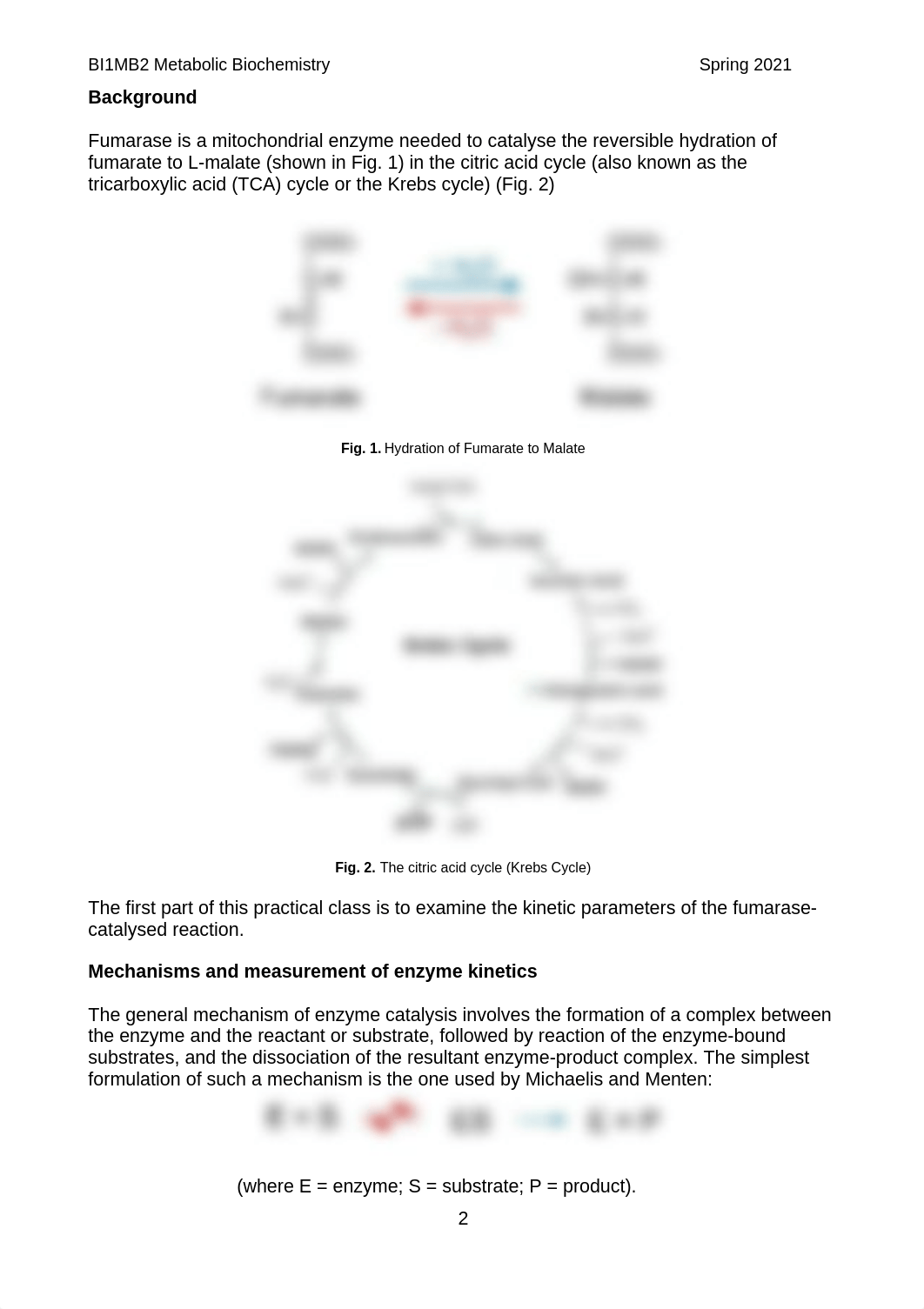 2021 Fumarase protocol.docx_dp5glfmq3ro_page2