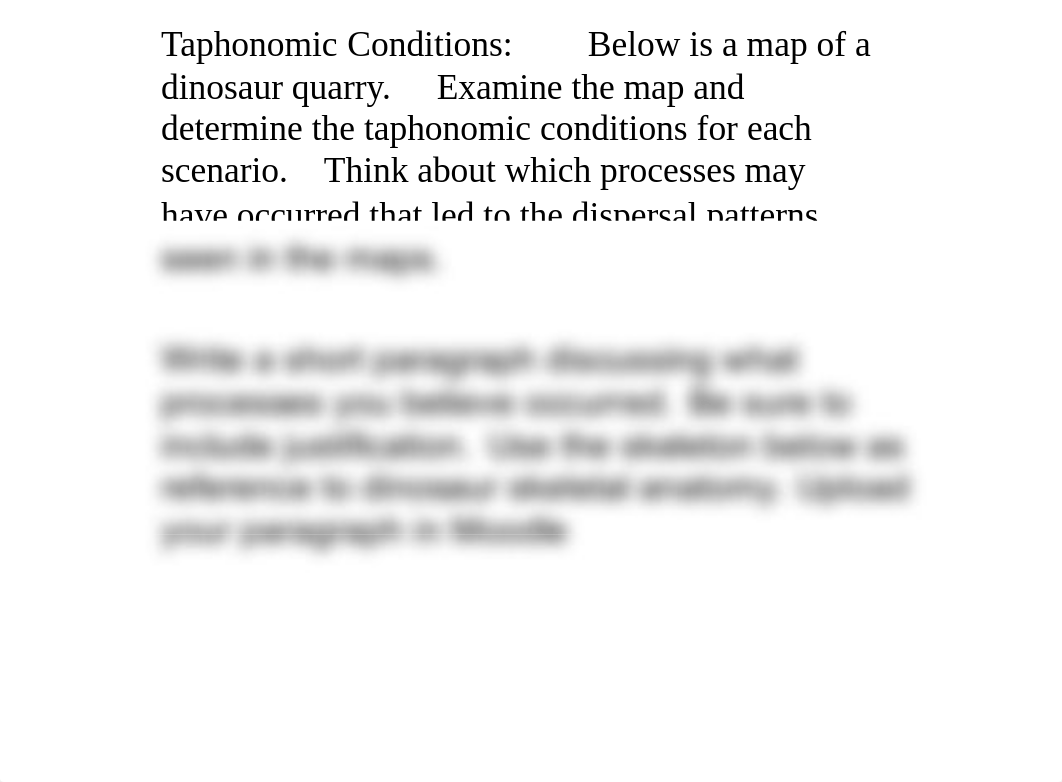 Taphonomy Class Assignment.pdf_dp5ohijvmy2_page2