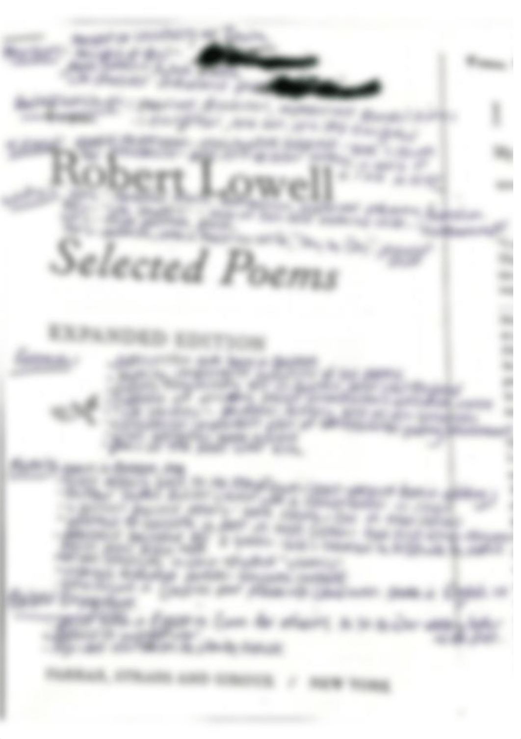 Robert Lowell analysis_dp5qqej22g0_page1