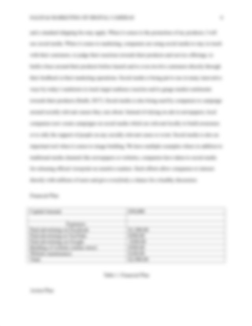 Sales and Marketing of Digital Cameras.docx_dp5r5zx9y33_page4