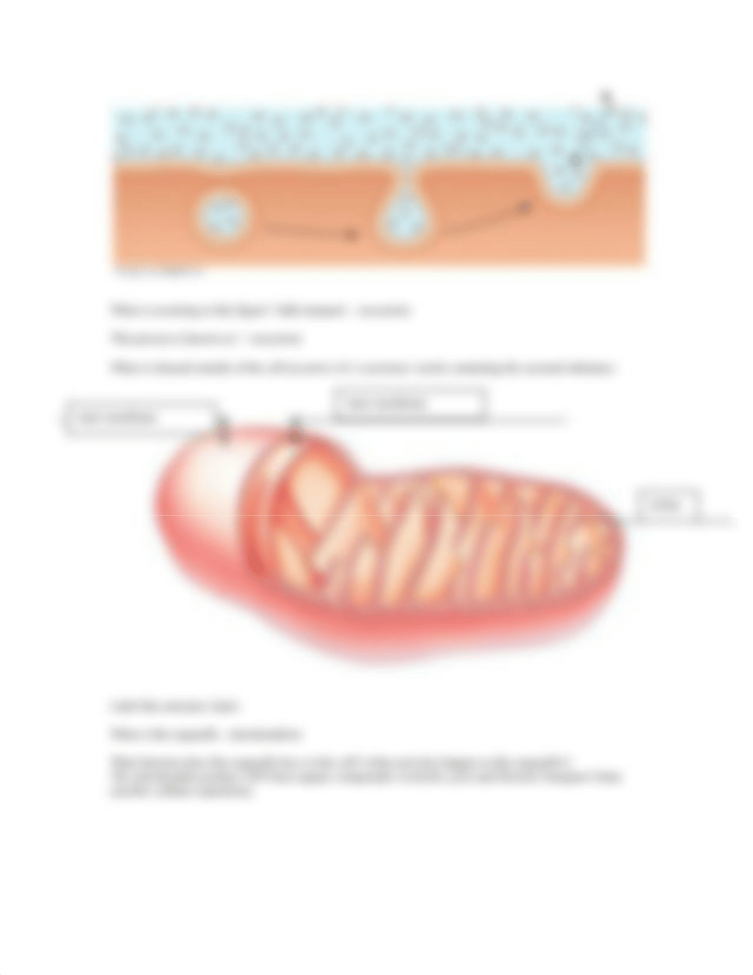 BIO_109_HW3_dp5u68vs19v_page3