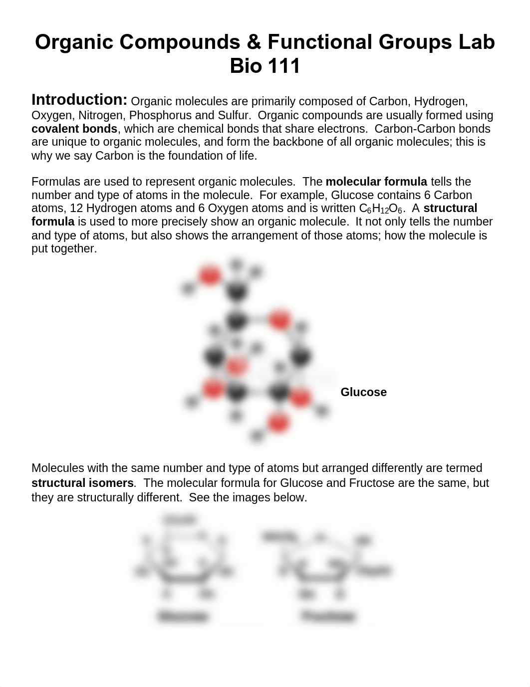 Molecular models Lab Bio111 updated.pdf_dp63yzc7kjh_page1