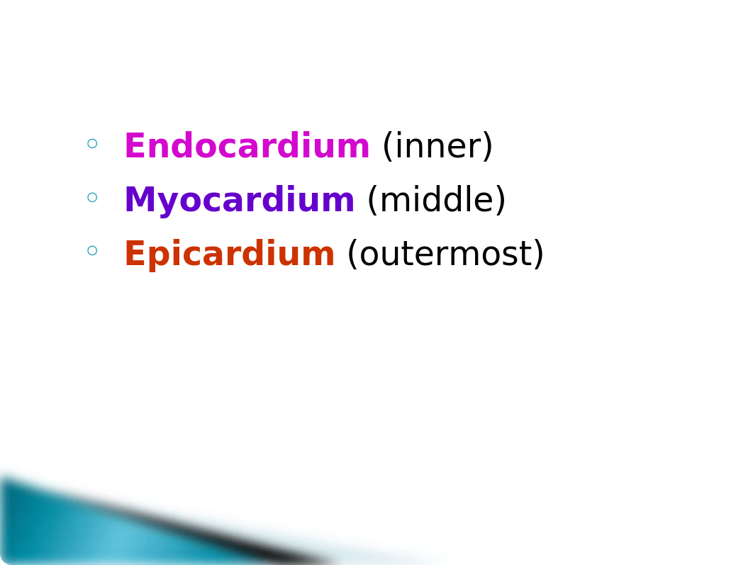 Circulation, Immune, & Respiratory Quiz.ppt_dp6bjxelj2a_page3