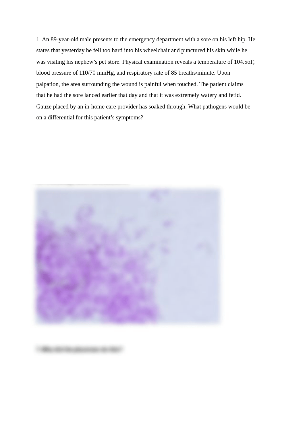 Microbiology Virtual Lab Final Exam.docx_dp6t360cl5b_page1