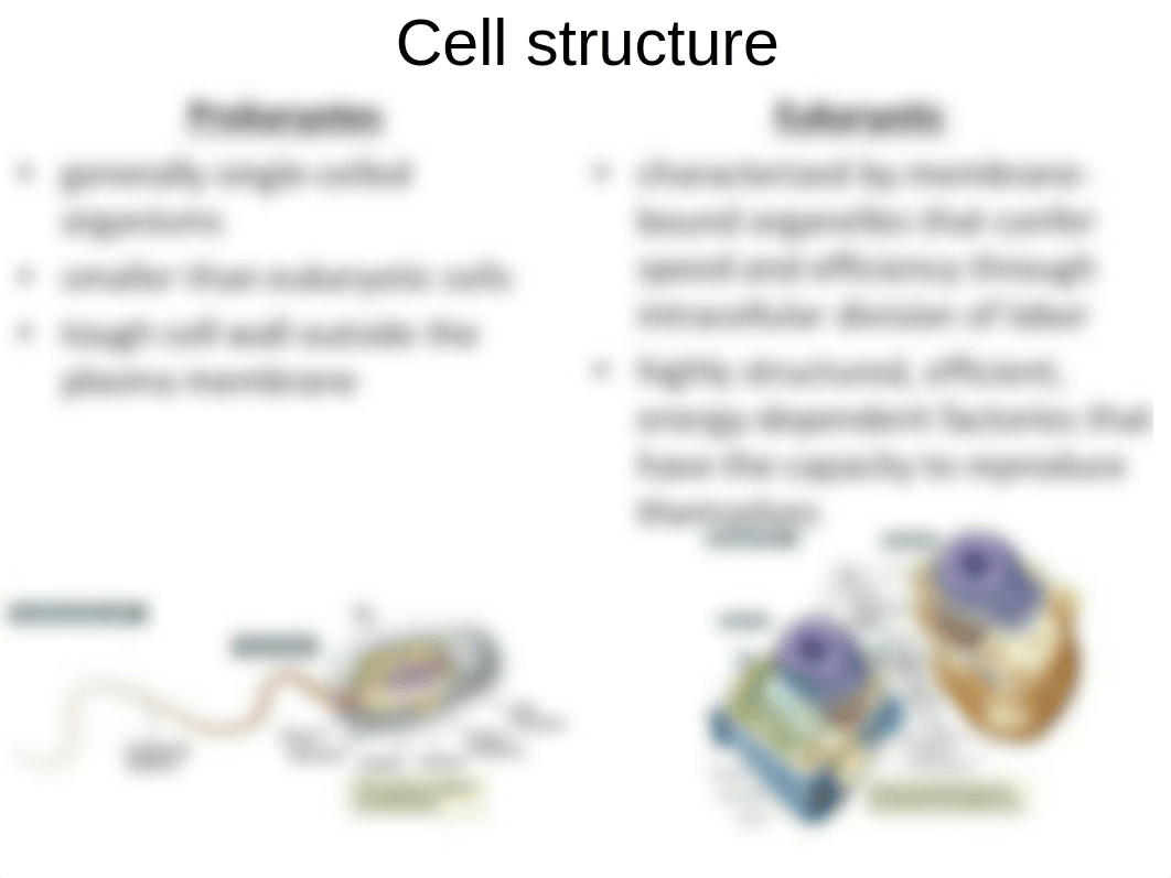 BIOL315FA15_ch02_annotated_dp71i63a6x5_page3