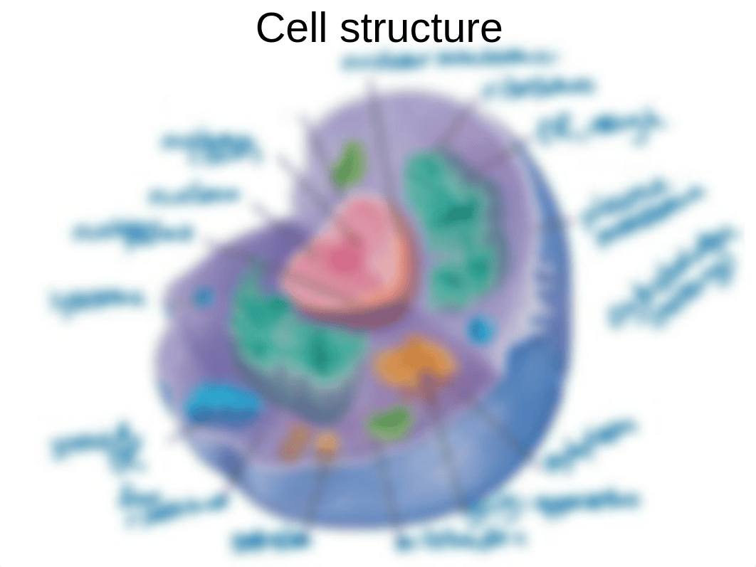 BIOL315FA15_ch02_annotated_dp71i63a6x5_page4