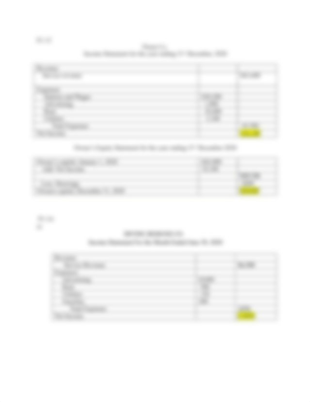 Chapter 1 Homework financial acc 1.docx_dp72asdw5kv_page2