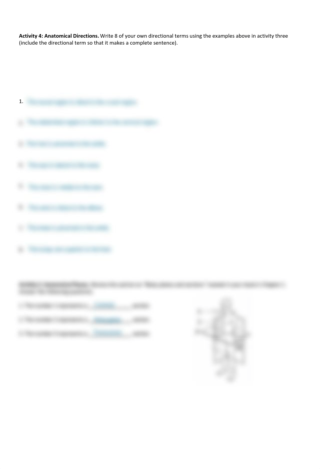 Introduction to Anatomy and Organs Lab Handout.pdf_dp72bxcahm5_page3