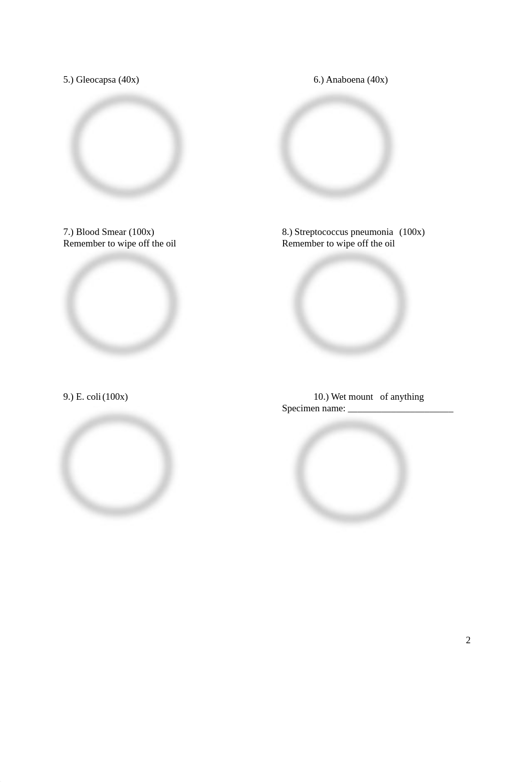 Lab F.pdf_dp7a6wsqpvd_page2