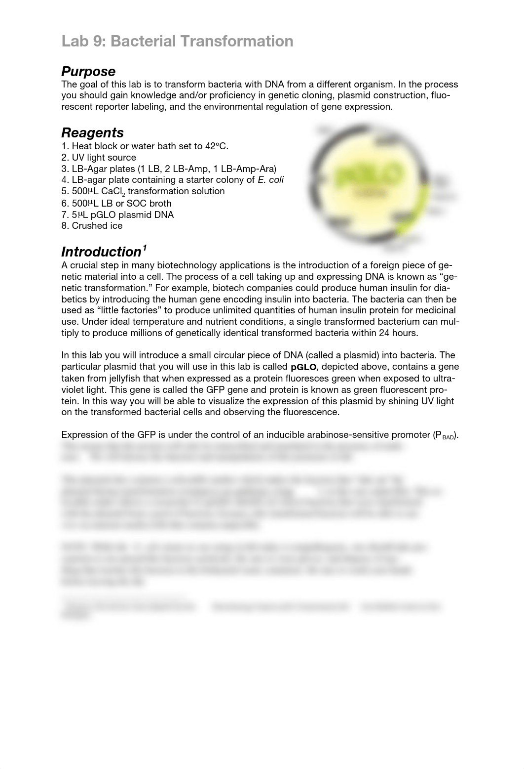 Lab 9 Bacterial transformation_dp7beb5pe8z_page1