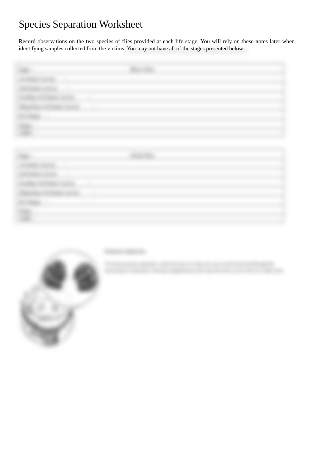 LAB_ForensicEntomology_Natures Witness_ProcedureDataPrePostQuest.docx_dp7bk483xzh_page3