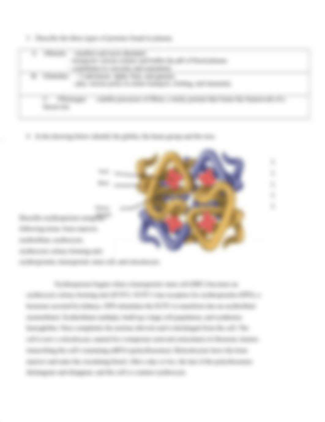 Chapter 18 Concept Check (A&P2) - The Cardiovascular System (Blood).rtf_dp7hs88bzth_page2