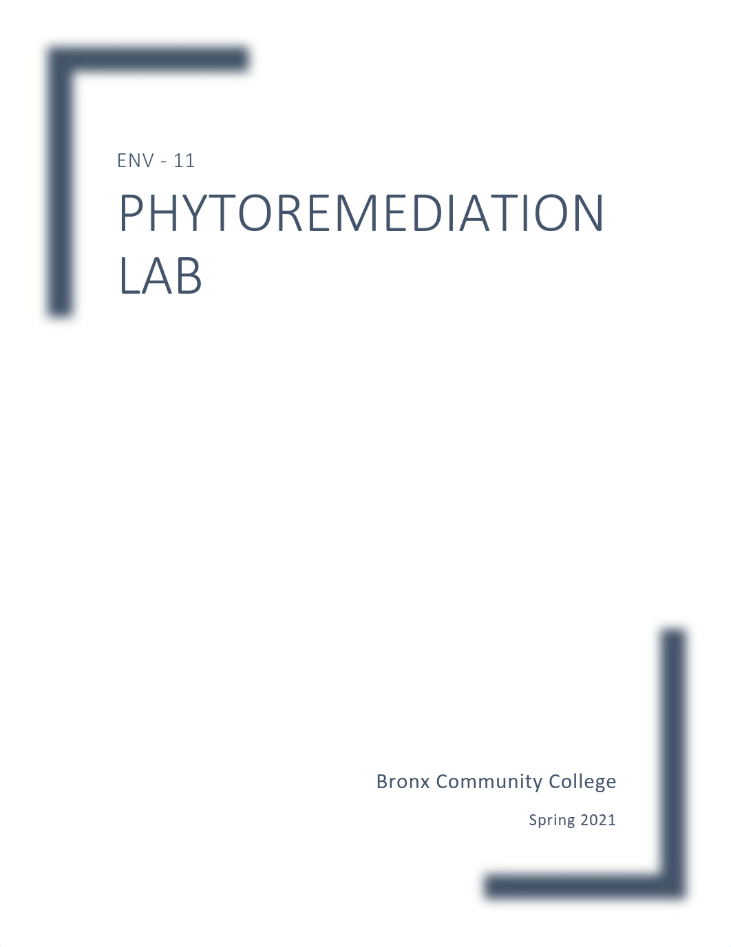 Phytoremediation 2021 (4).pdf_dp7vst56nxt_page1