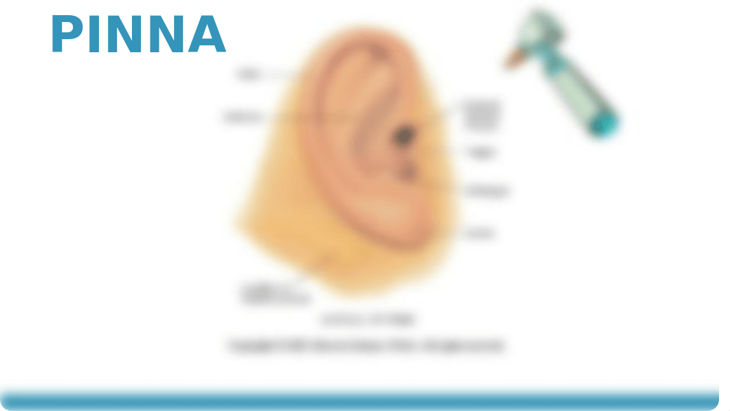 Assessment of the Ears,  Nose, Mouth, & Throat (Student lmc 2019) (1).pptx_dp7vyoobhlx_page5