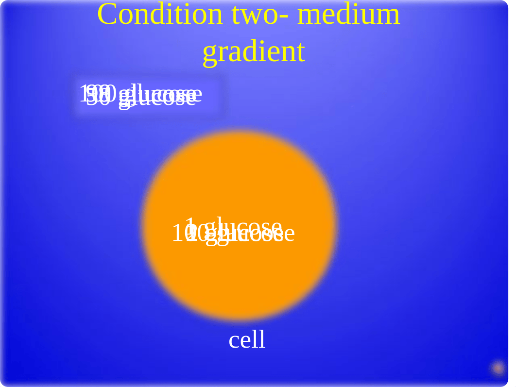 diffusion lab_dp7wqrrrn7i_page4