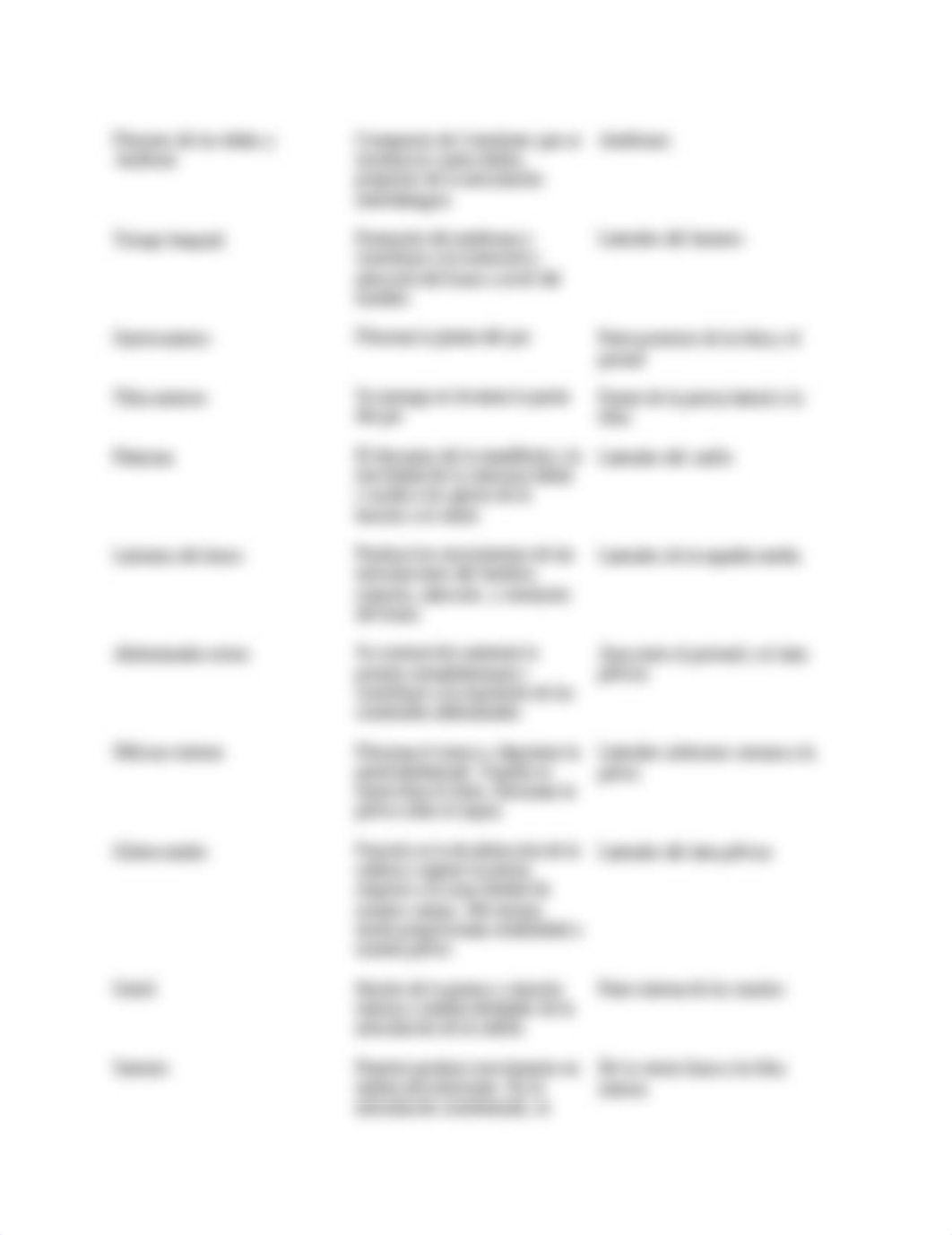 tarea 3.2 Sistema Muscular.docx_dp837lw2dp1_page2