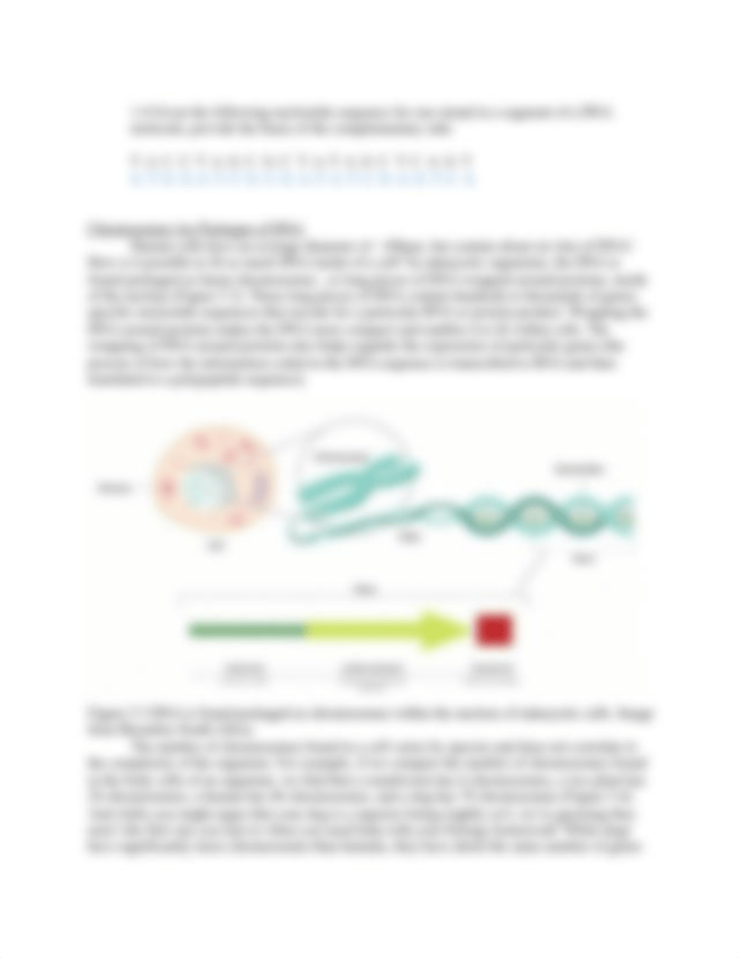 Lab 5 - DNA and Chromosomes - The Genetic Content of Cells.docx_dp8e3yb5148_page3